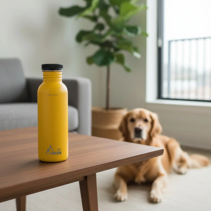 Botella de Acero Inoxidable Plain™ Polipropileno