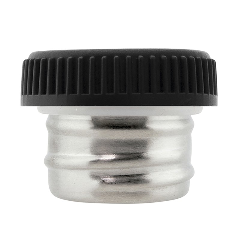 BASIC STEEL STAINLESS STEEL SCREW AND PLASTIC CAP