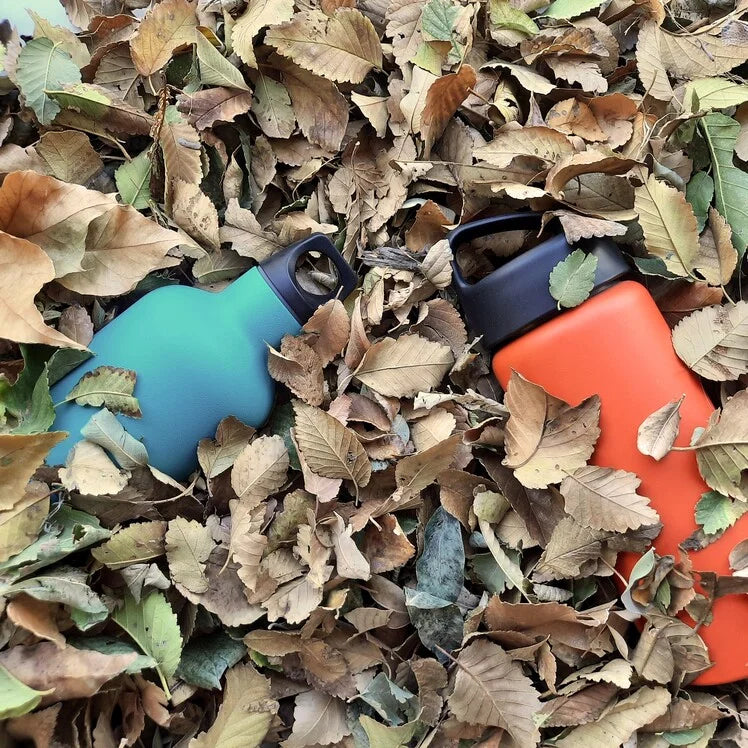 Botellas LAKEN entre hojas caídas de otoño